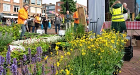 planten uitdeelactie
